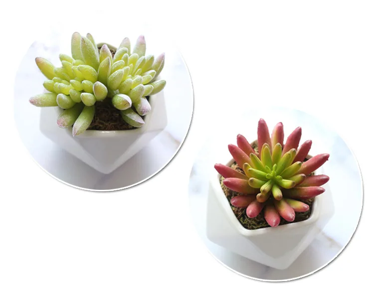 

Popular Office Decor Bonsai Plastic Light Plantas Artificiales Decoration Suculentas Macetas Face Succulent Plants Artificial, Customizable