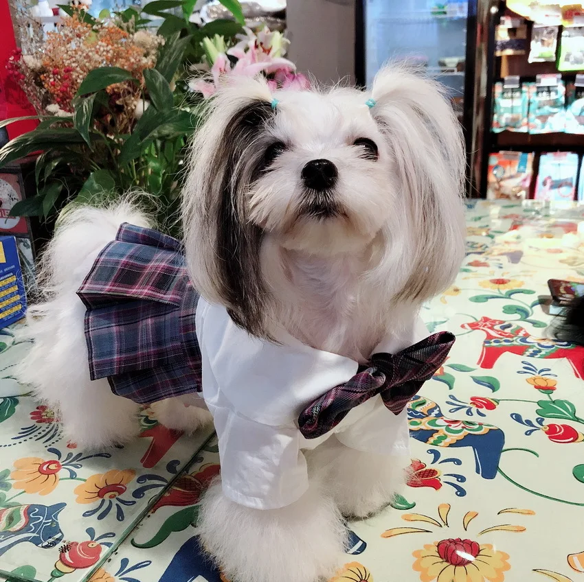 

Wholesale price new uniform pleated plaid sweet cute pet dress clothes