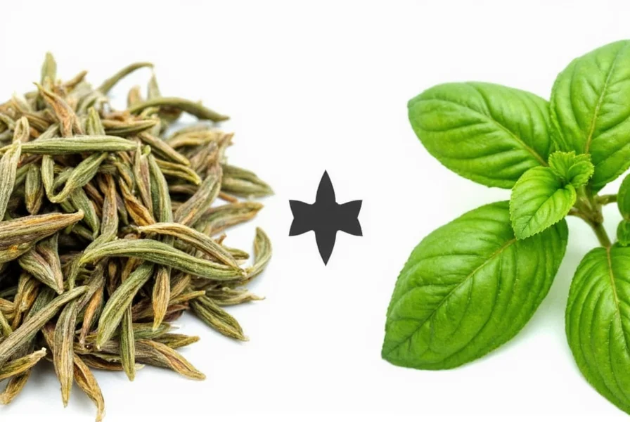 from dried basil to fresh a guide to flavor transformation