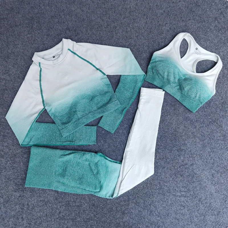 

Women Workout Wear Long Sleeves Crop Top With Bra Leggings Sets Fitness Gradient Seamless 3 Pcs Yoga Suits, Customized colors