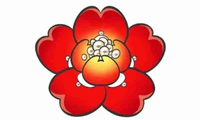 company overview - qingdao xinsamjin jewelry co., ltd.