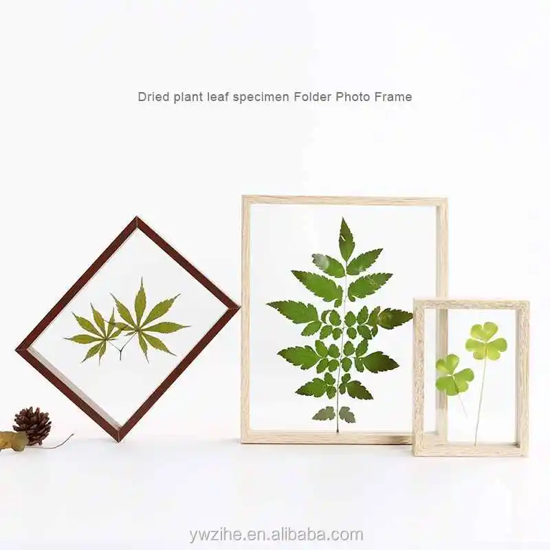 Double Sided Picture Album DIY Plant Specimen Wood Frame Wedding Room Decoration 