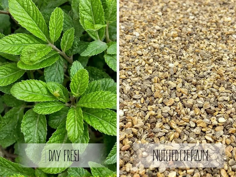 Fresh vs Dried Oregano: Flavor, Uses & Substitution Guide