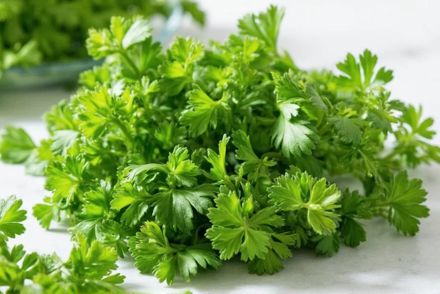 parsley power from fresh to dried what you need to know