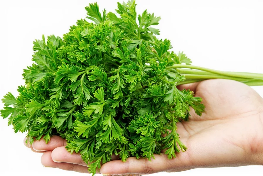Glass jar with dried parsley inside