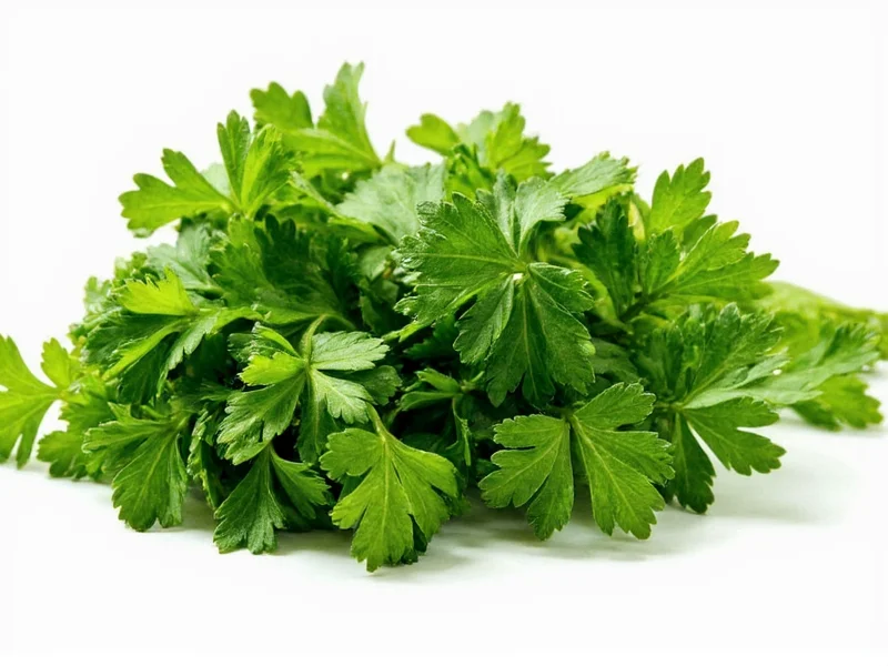 1/2 Cup Fresh Parsley to Dried Conversion: Exact Measurements