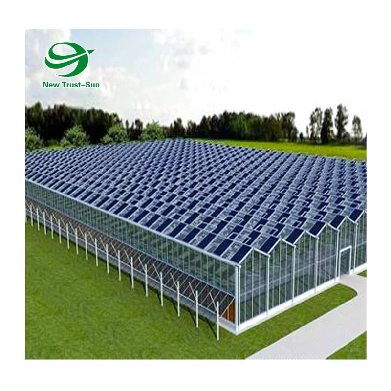 
Hydroponic Venlo polycarbonate Energy Drive Photovoltaic Panel Solar Greenhouse  (60660086723)
