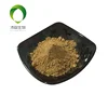 Natural black cohosh root extract powder with competitive price