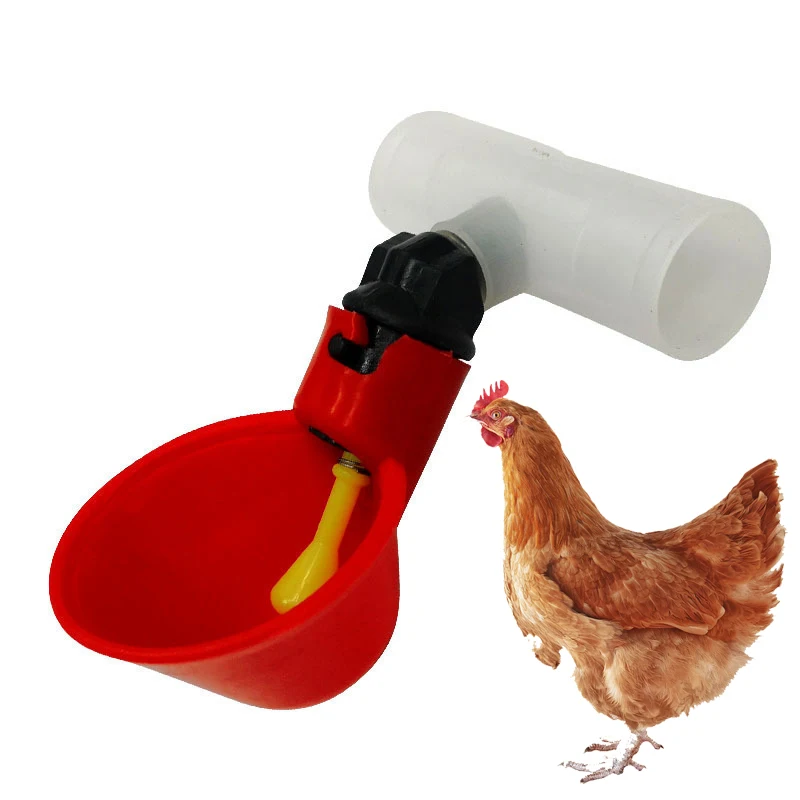 

LOW MOQ Chicken Drinking Cup Automatic Chicken Drinker Plastic Poultry Water Drinking Cups With Screws Farm Use, Red.blue