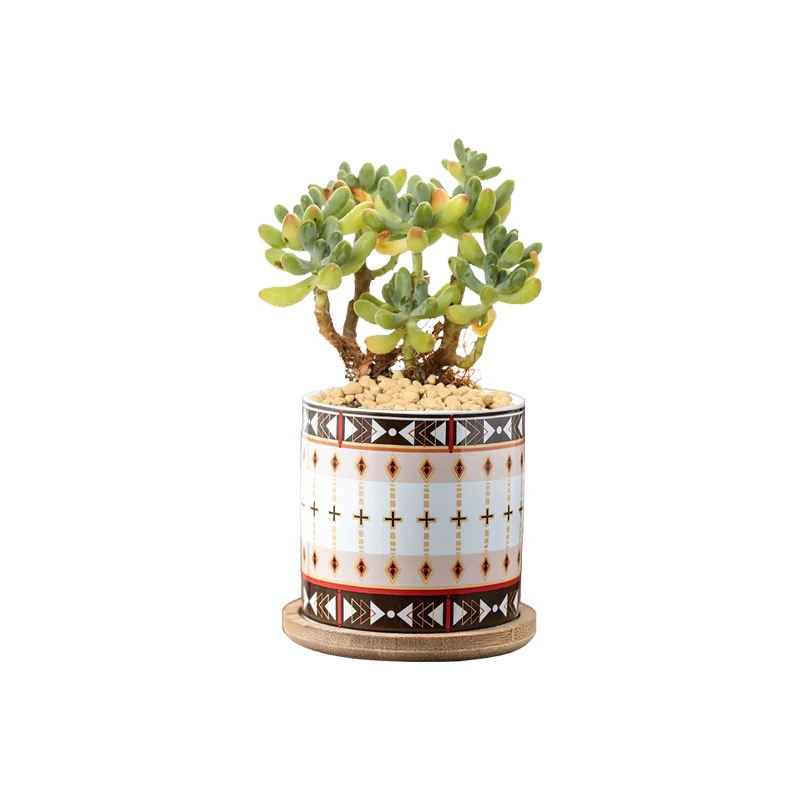 

Custom Pattern Wholesale Home Decor Mini White Ceramic Planters Design Flower Pot