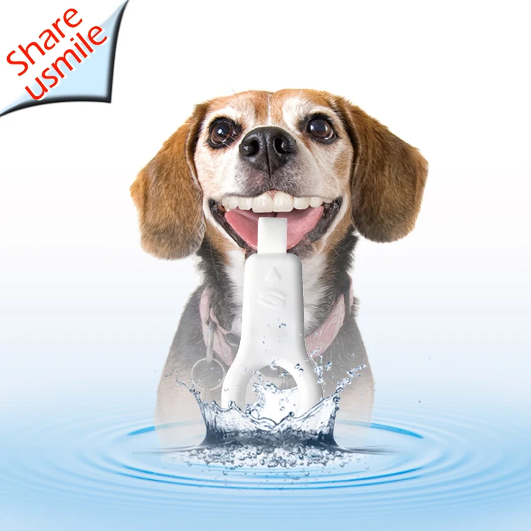 

New Gadget 2021 innovative pet supplies dog teeth cleaning products