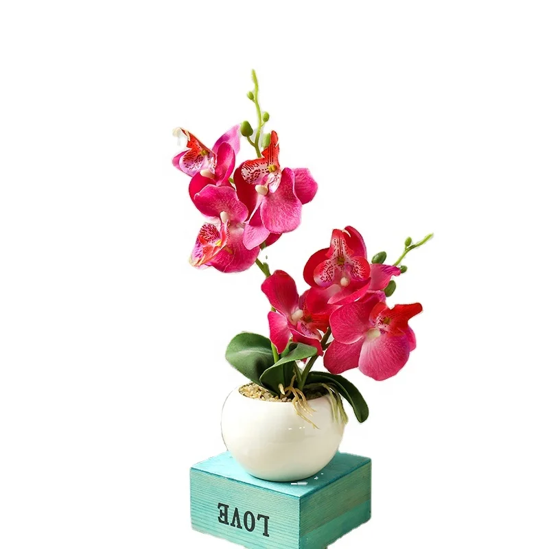 

wholesale plant bonsai artificial decorative orchid for garden decoration