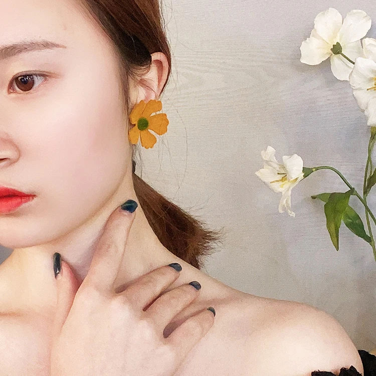 

2021 Fashion Irregular Multi Color Dried Flower Stud Earrings For Gils And Women
