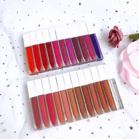 

Velvet Matte Lipstick Logo Customize Brand Makeup