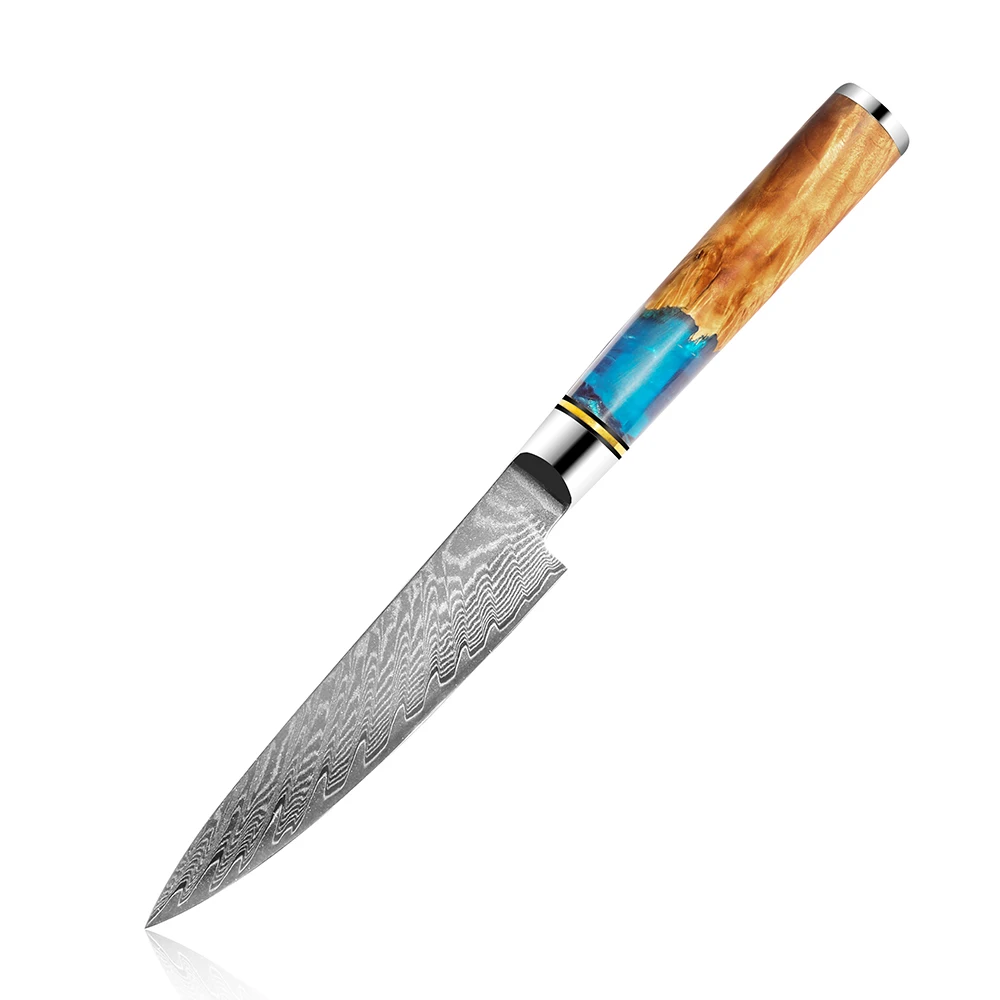

Amazon hot sell 5 Inch Japanese Damascus Utility Knife with Blue resin handle for cooking utensil