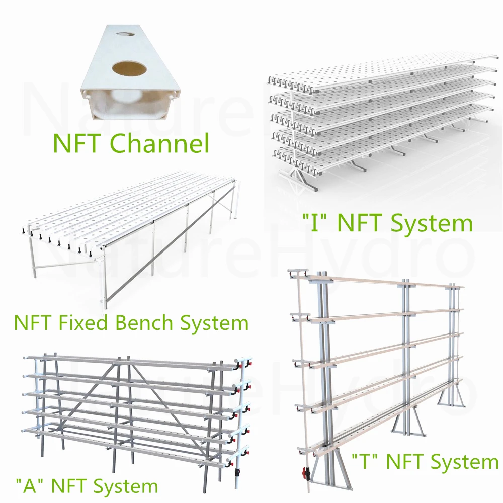 NFT systems.jpg