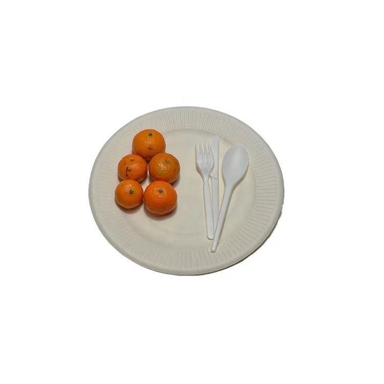 

Disposable Biodegradable Plates Sugarcane Bagasse Paper Pulp dessert Plates