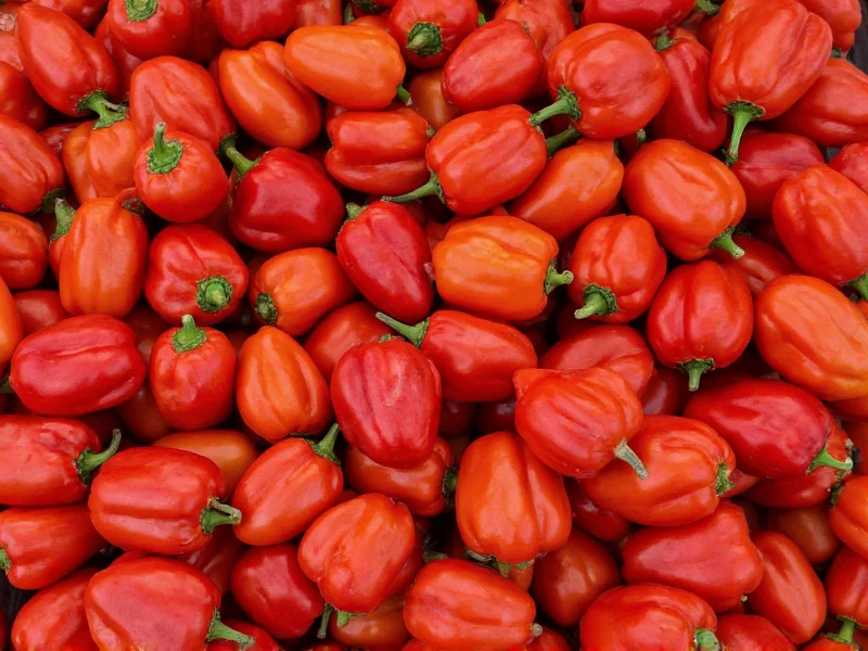 Paprika Cost Guide: Pricing Factors and Value Insights