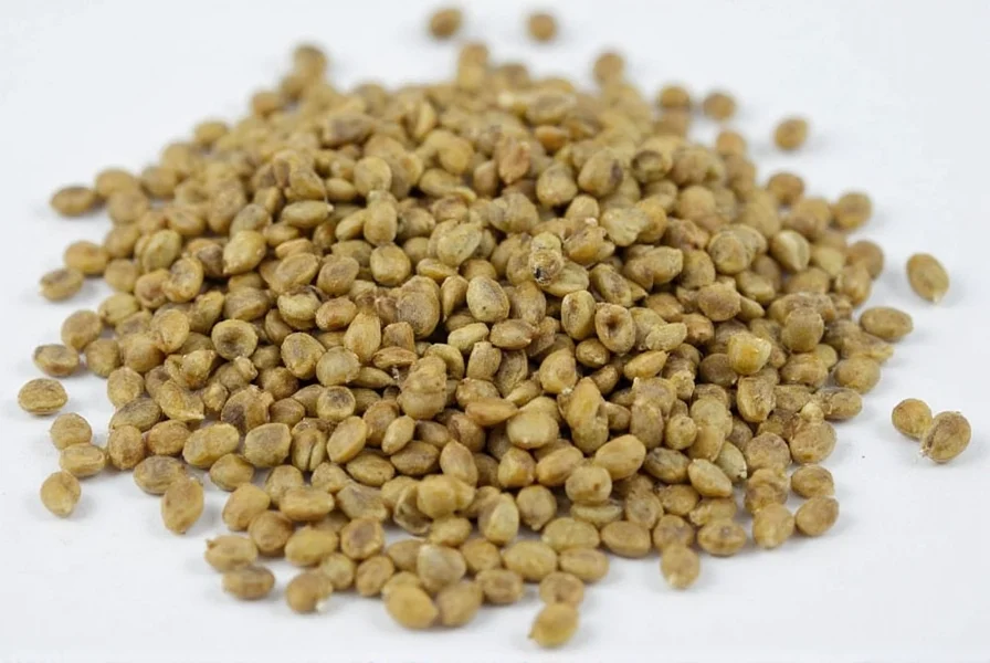 Scientific illustration showing cross-section of mustard seed with labeled parts and precise measurements of each component
