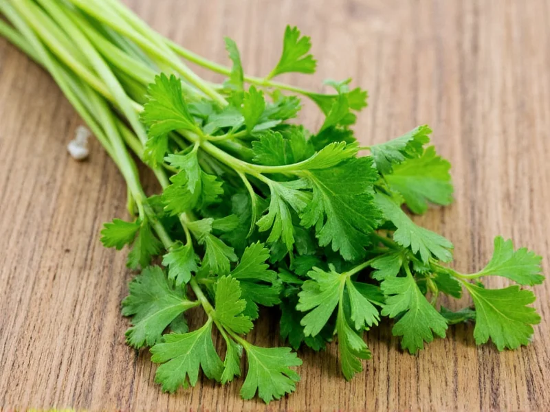 Parsley Translate Spanish: Correct Translation & Usage