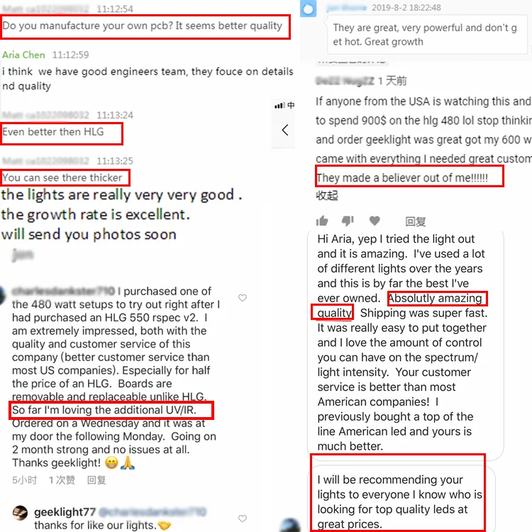 bella feedback