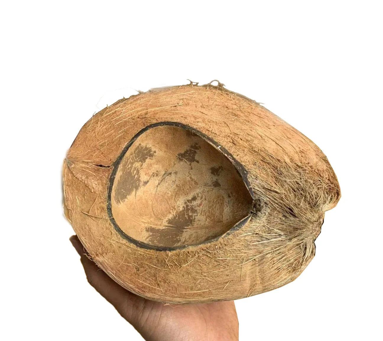 

Raw Coconut Candle Shell Eco-Friendly Handcrafted Coconut Wax Candle, Dough