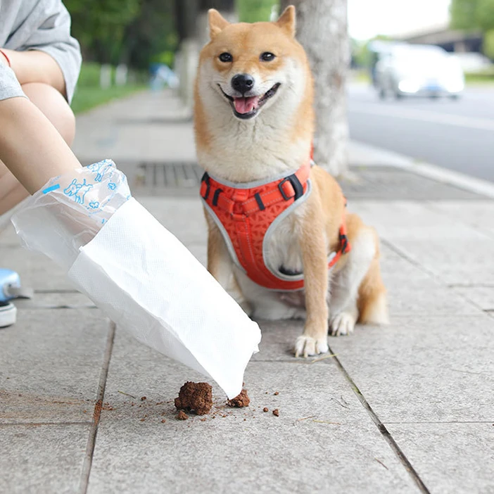 

Pet Products Wholesale Convenient Outdoors Pet Poop Collection Bag, Green