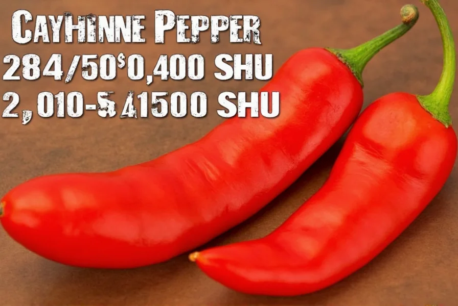 Chef measuring cayenne pepper into a spice shaker