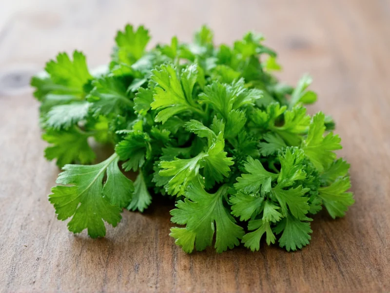 Cilantro vs Parsley: Clear Differences Explained
