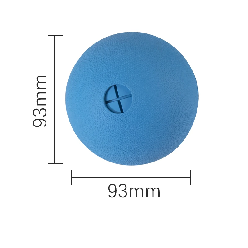 

High Quality 2022 rubber interactive balls motion Dog Chew Pet Toy, Blue