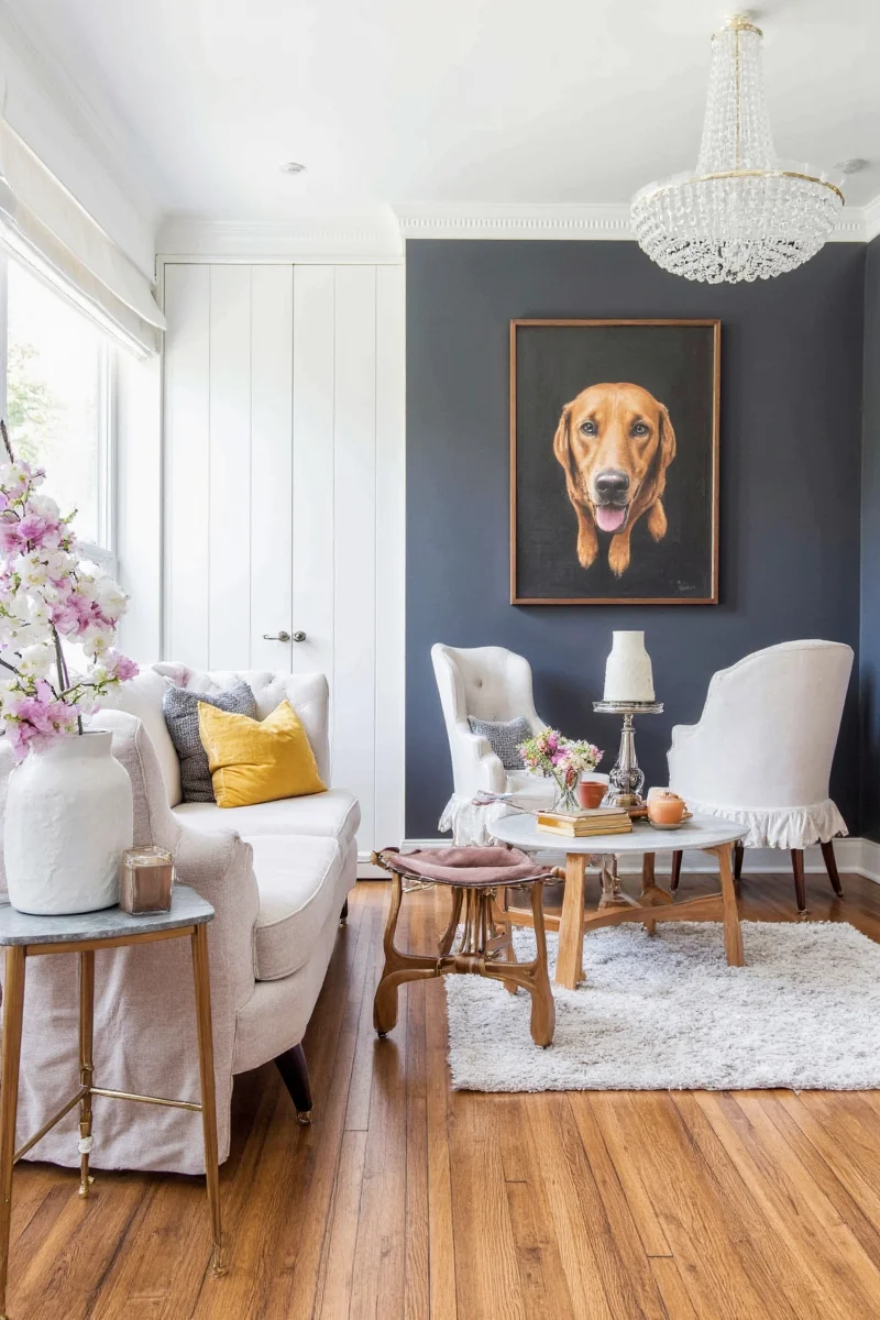 Modern living room with dog-friendly furniture and accessories