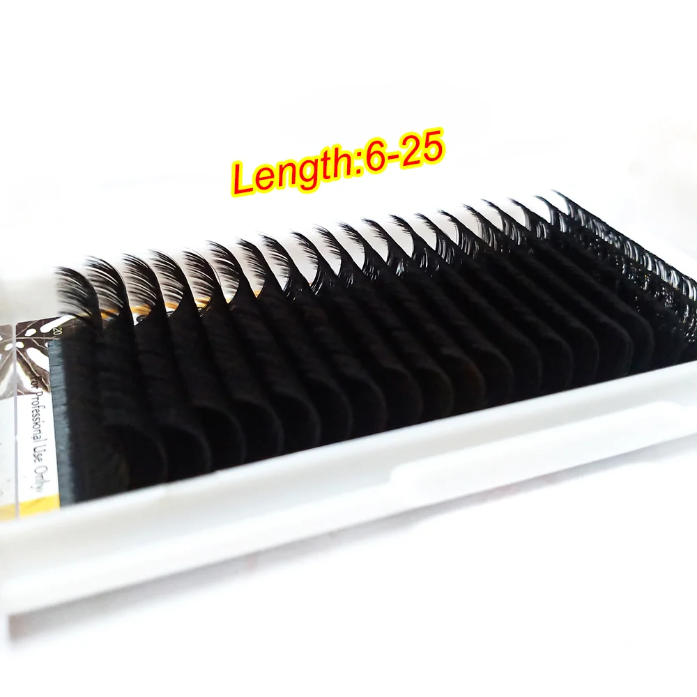 

Private label 20mm 25mm mink lashextensions easy volume fans trays supplies, Black