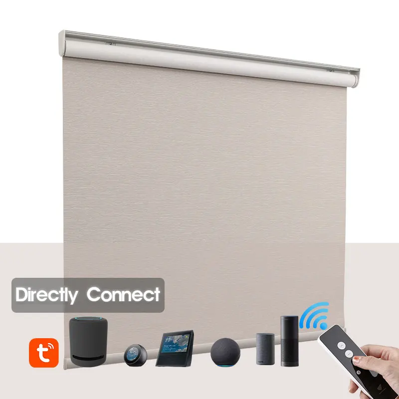 

Deyi Smart roller blinds electric for perfil motorised shade, Customized color