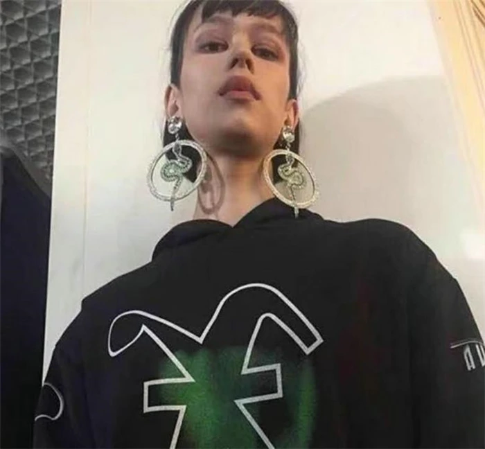 

925 silver pin full green crystal round circle snake drop earrings exaggerated super flash luxury women snake hoop earrings, Picture