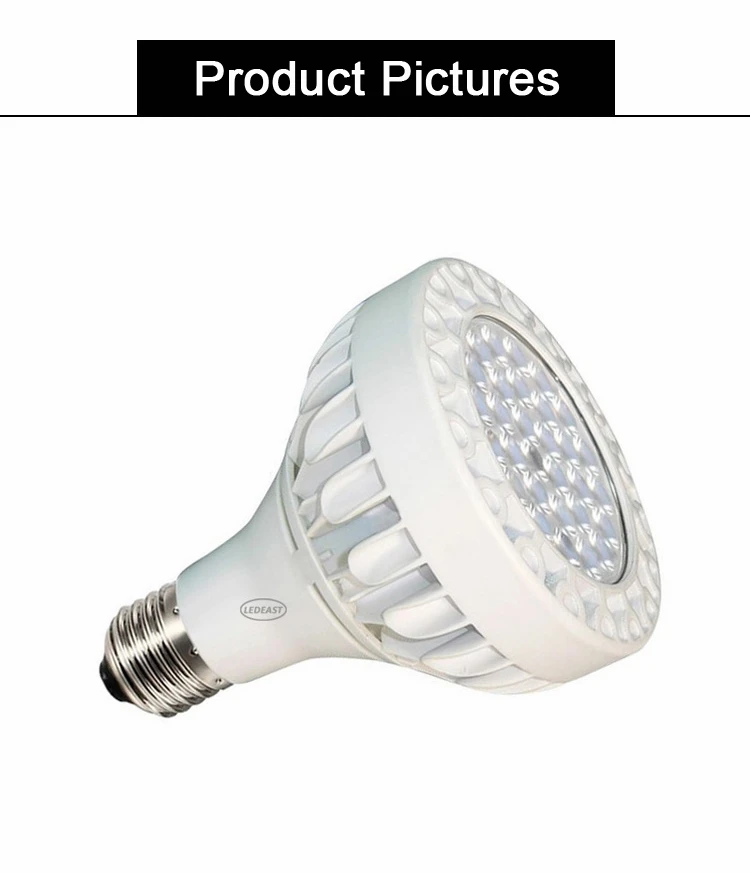 33W XP30N-33 PAR30 (2)