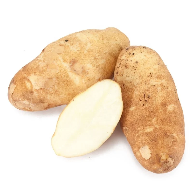 
Mexico Grown POTATO WHITE Potatoes Robinson Fresh MOQ 50 LBS Quick Delivery in US 