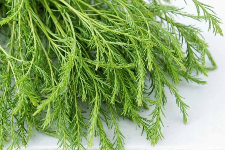 Mistaken uses of dill herbs
