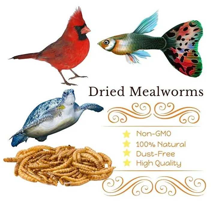 
Dried mealworms 