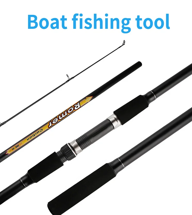 carp rod for sea fishing