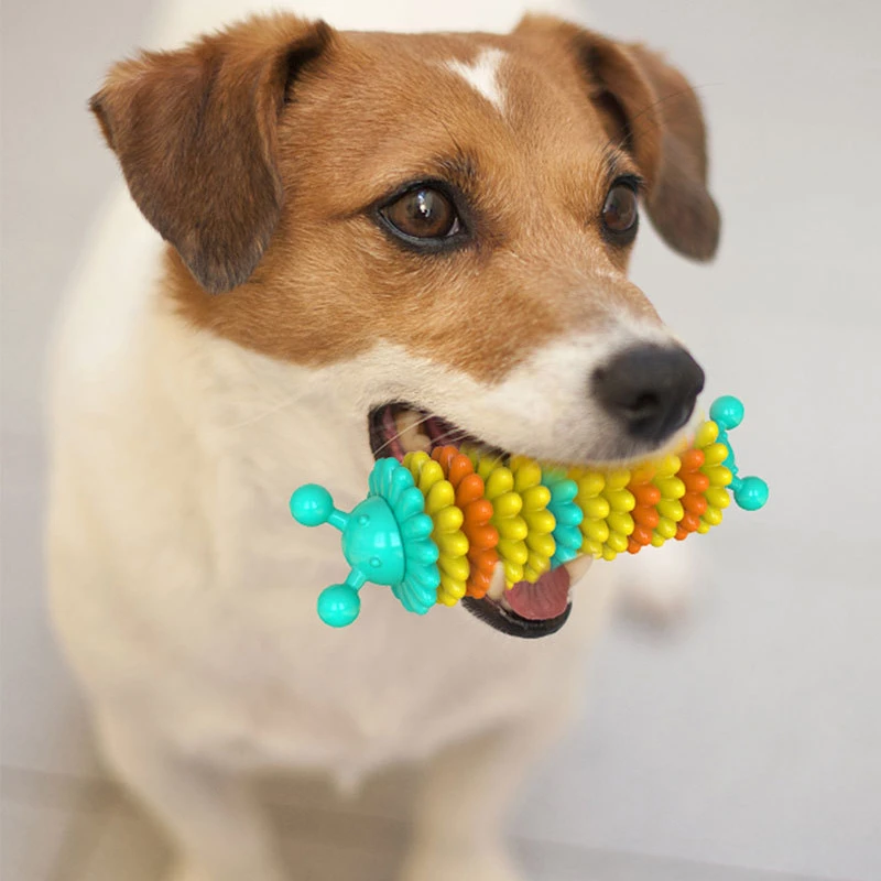 

Eco Friendly Caterpillar Shape Colorful TPR Durable Interactive Dog Chew Toy