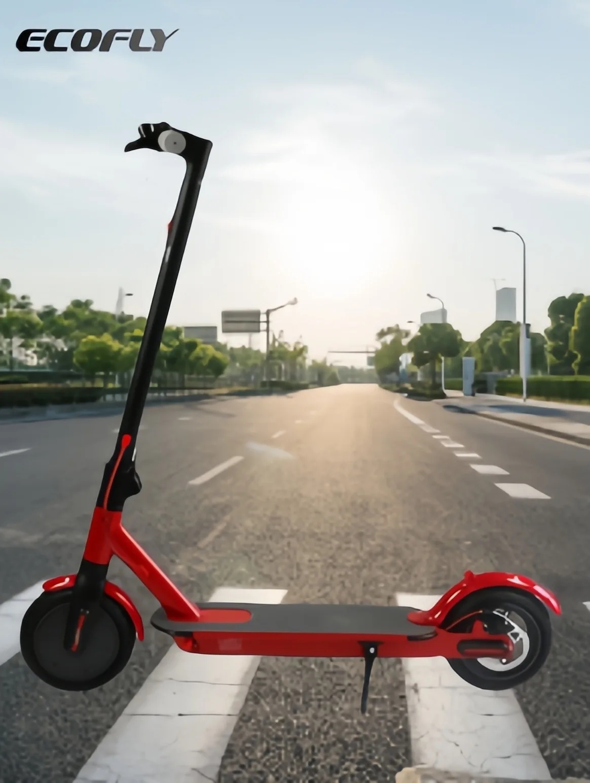 350W ELECTRIC SCOOTER