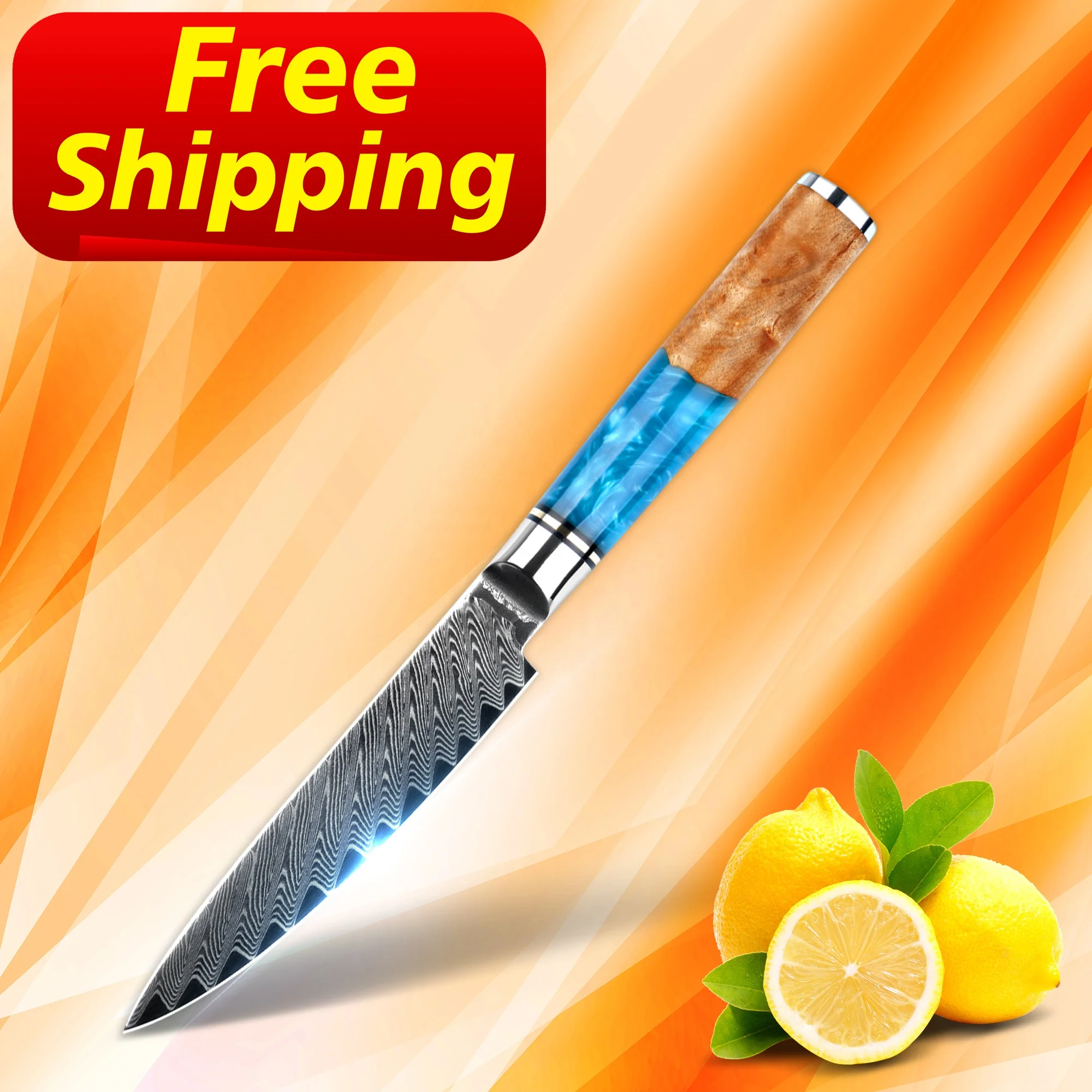 

Free Shipping orders over 100 pcs 67 layers vg10 damascus steak knife with blue resin stable wood handle, Customized color