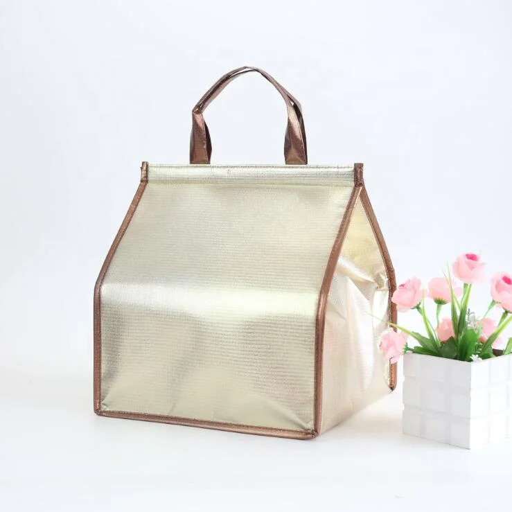 

OEM Insulated Food Delivery Tote Bags Thermal Bags for Medicines Bolsa Termica Food Prep Bag Zipper Top Non Woven Fabric Huizhou