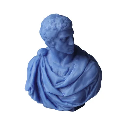 

Roman consul Brutus plaster portrait resin silicone candle mold, Transparent