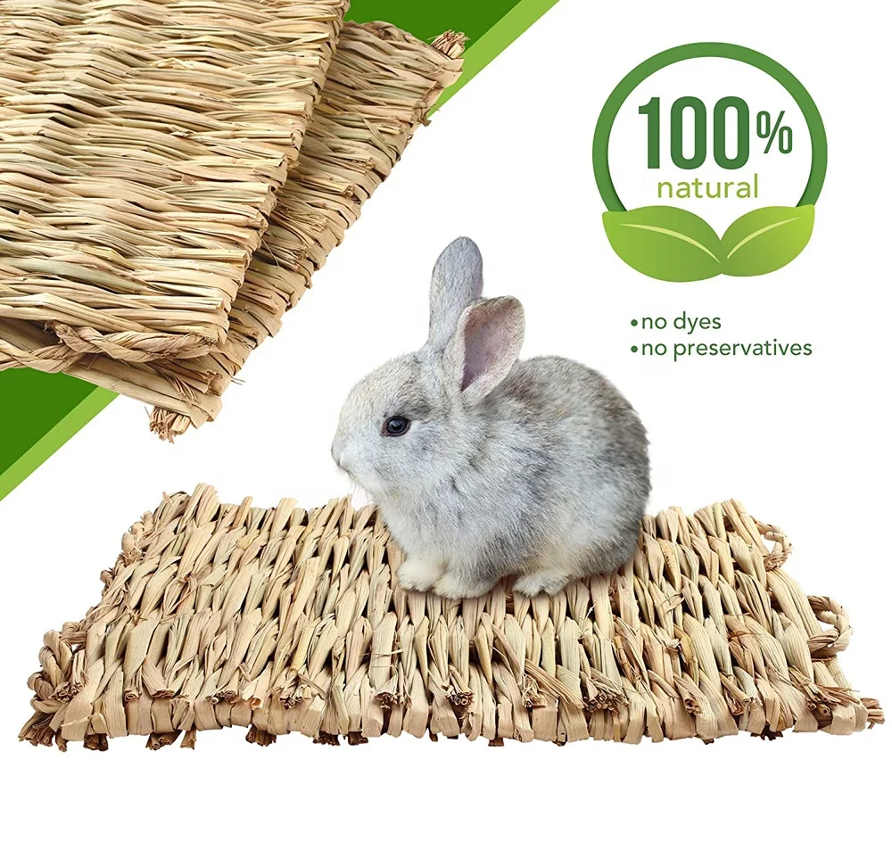 

Grass Mat Woven Bed Mat for Small Animal Bunny Bedding Nest Chew Toy Bed Play Toy for Guinea Pig Parrot Rabbit Bunny Hamster Rat, Natural