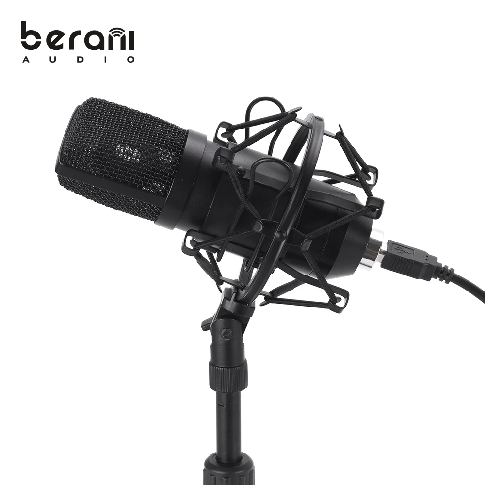 

High Quality Recording Monitors Bm 800 Microphone for studio with desk stand