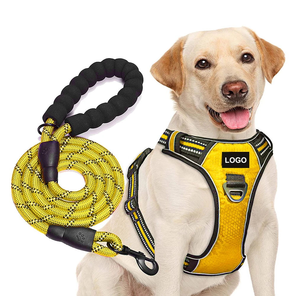 

Dog Collars and Leash Set in bulk Portable Custom Rope Backpack Leather Harness Set, Customized color