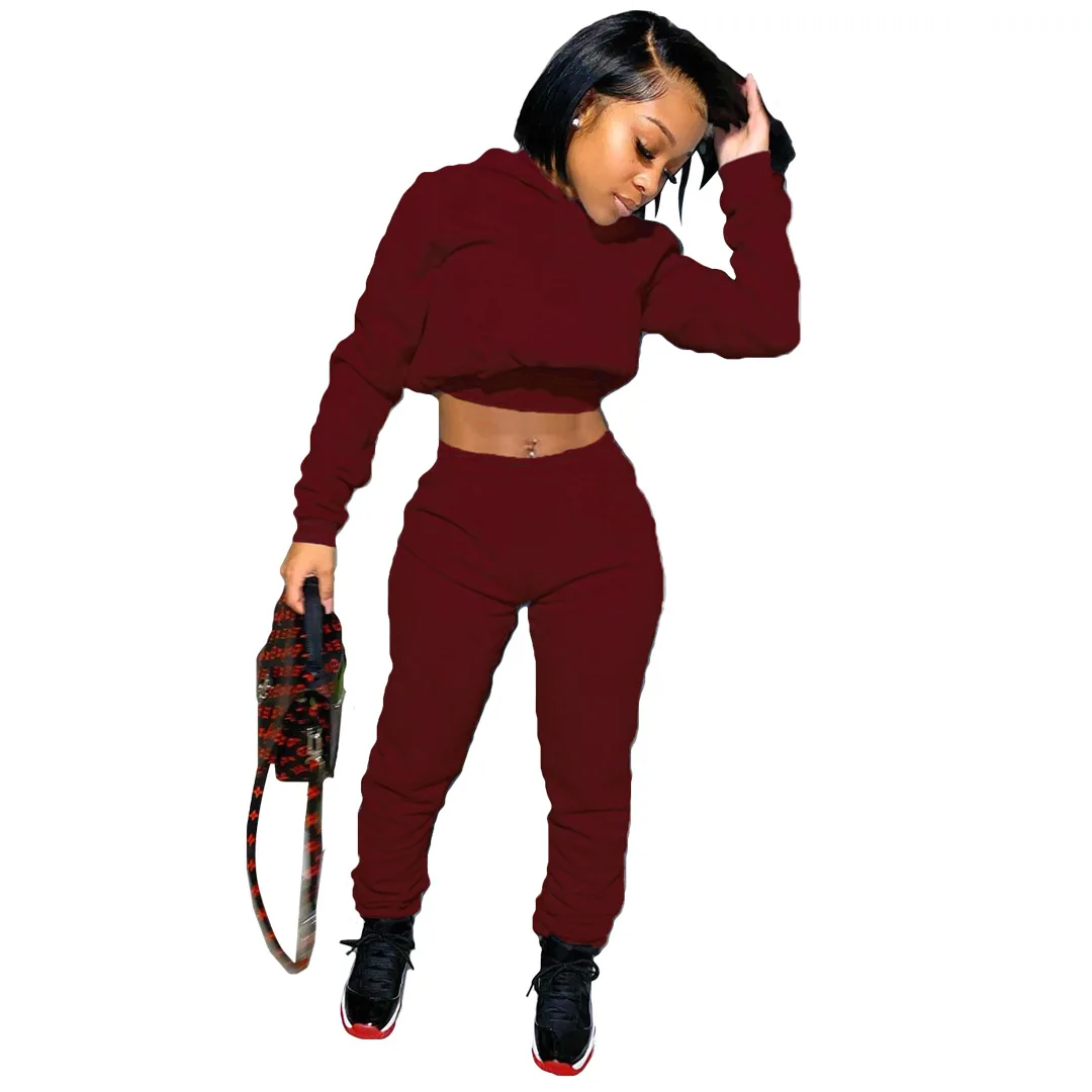 

New product ideas 2021 Fashion fleece Jogger Sets Plain Hoodie Sets LadysTwo Piece Sweat Suit Lace Up Sweatpants, Picture shows