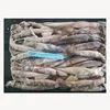 New Stock Todarodes Pacificus Frozen Squid For Fish Bait