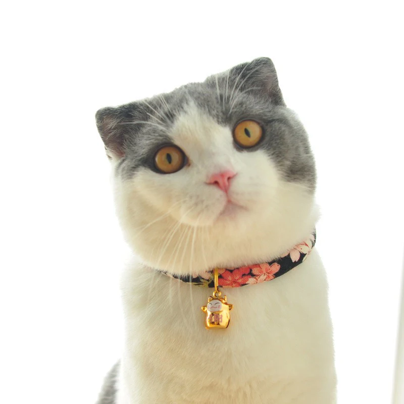 

Cheap Manufactory Japanese Style Collar Adjustable Car Collar, Customized color